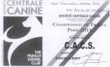 image paris-2011-championat-cacs-qualificatif-excellent-jpg